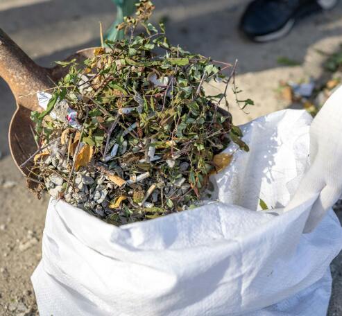 Shoveling leaves and sticks into bag